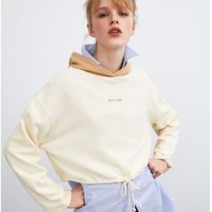 Zara color block hoodie cropped sweatshirt.